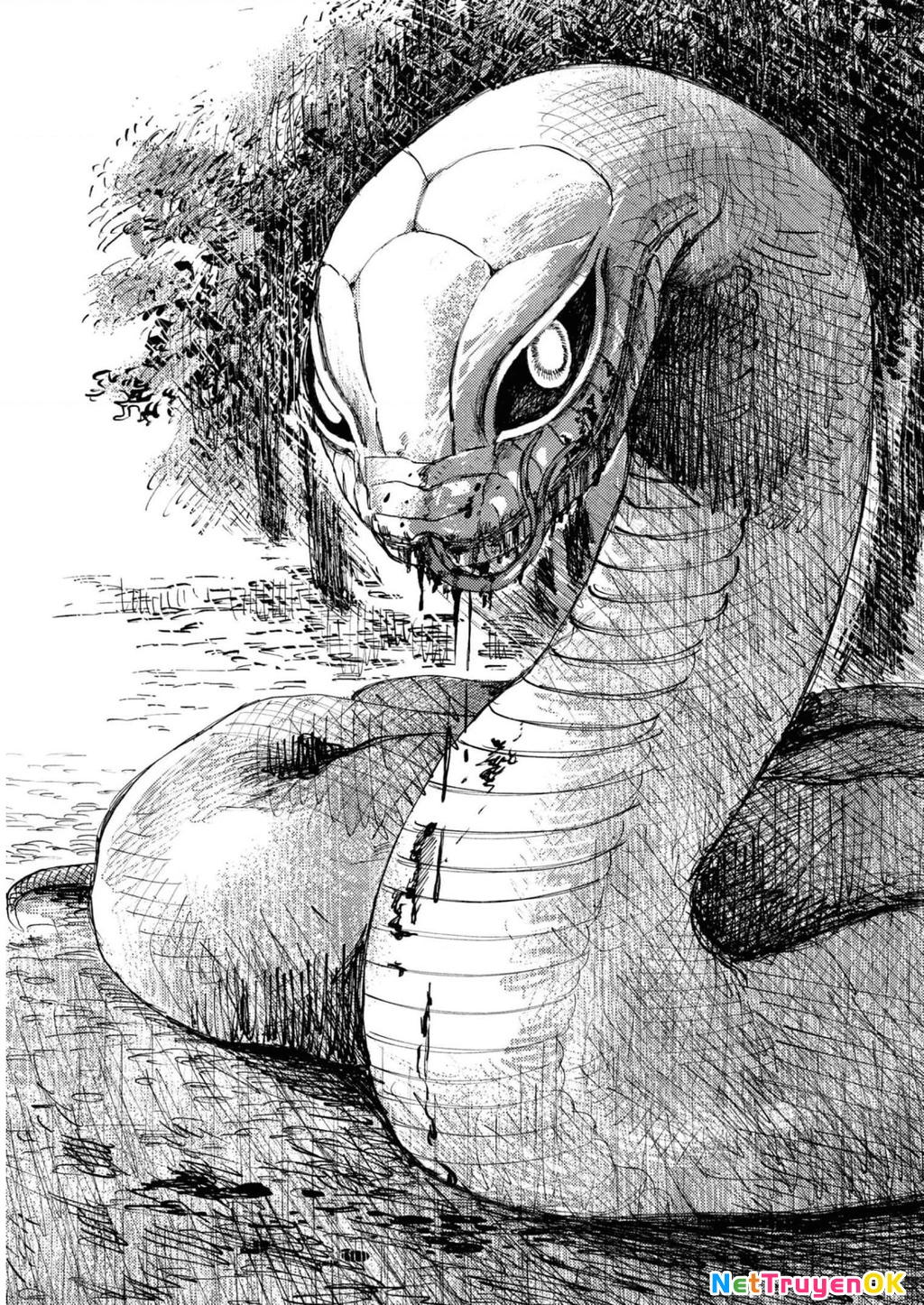 Đại xà tân nương Chapter 18 - 35