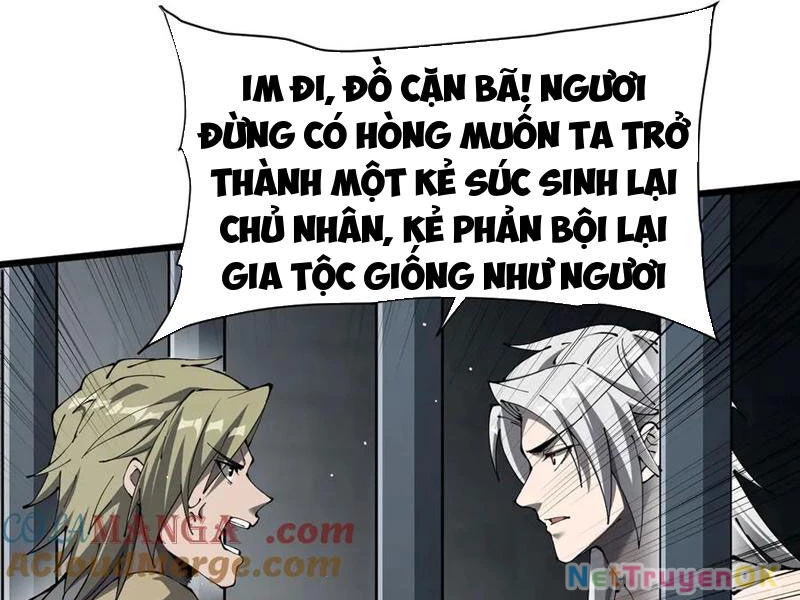 Cái Bóng Phản Bội Của Gia Tộc Chapter 32 - 45