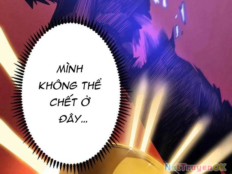 Trở Thành Anh Hùng Mạnh Nhất Nhờ Gian Lận Chapter 1 - 218