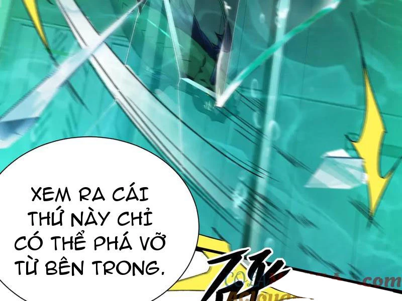 linh khí khôi phục: từ cá chép tiến hoá thành thần long Chapter 35 - Trang 2