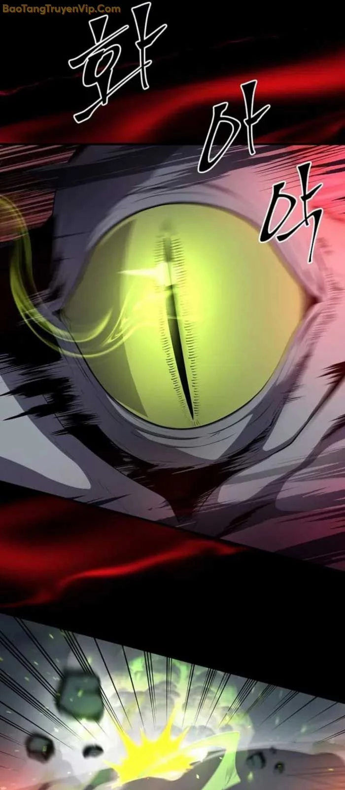 Tôi Thăng Cấp Bằng Kĩ Năng Chapter 85 - 21