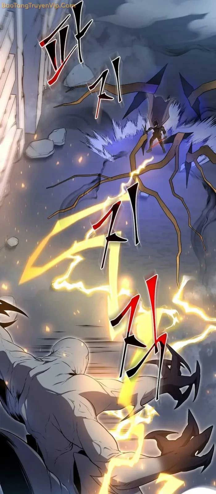 Tôi Thăng Cấp Bằng Kĩ Năng Chapter 85 - 45