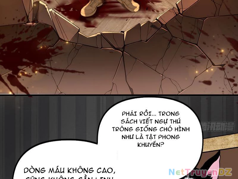 Đệ Nhất Ngự Thú Sư Chapter 1 - 94