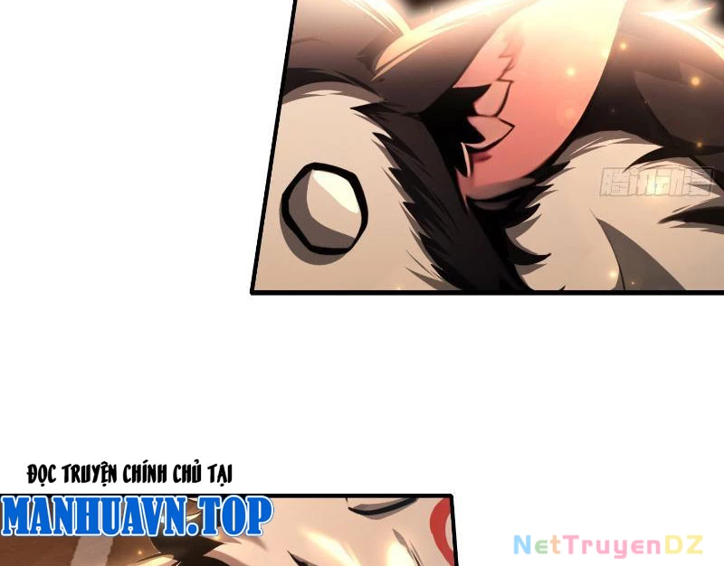 Đệ Nhất Ngự Thú Sư Chapter 3 - 13
