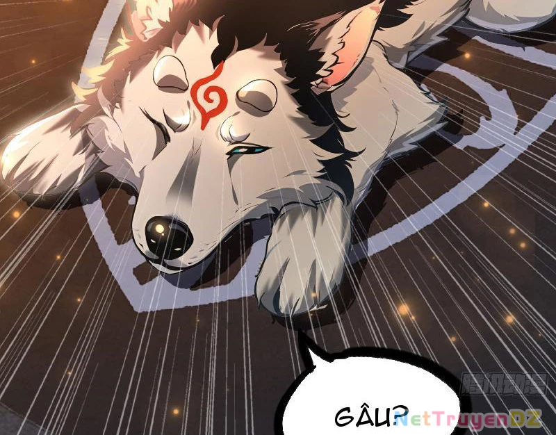 Đệ Nhất Ngự Thú Sư Chapter 3 - 17