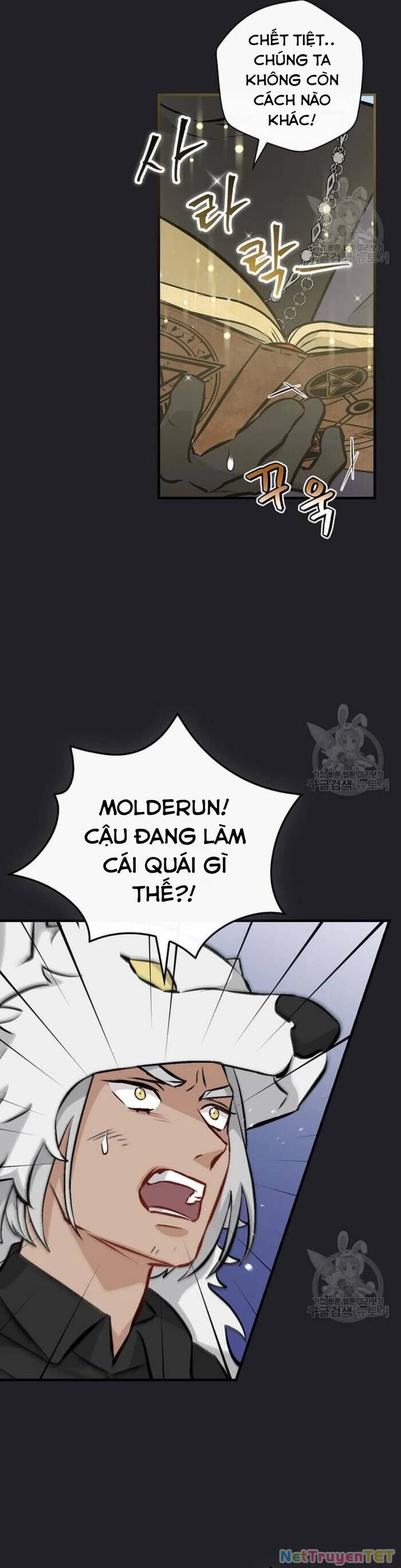 Level Up Chỉ Bằng Cách Ăn Cơm Chapter 137 - 24