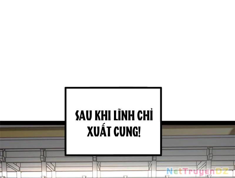 Chàng Rể Mạnh Nhất Lịch Sử Chapter 254 - 63