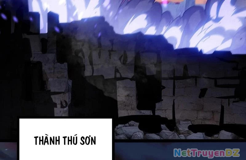 Chuyển Sinh Thành Liễu Đột Biến Chapter 312 - 14