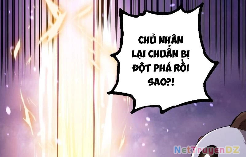 Chuyển Sinh Thành Liễu Đột Biến Chapter 312 - 101