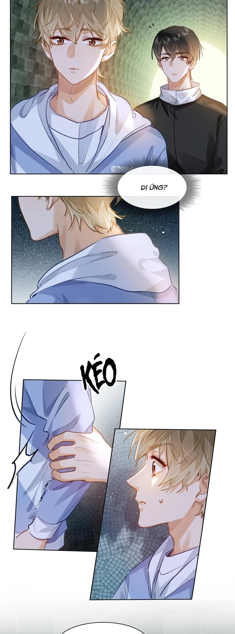 Tôi Thích Pheromone Của Cậu Chapter 38 - 15