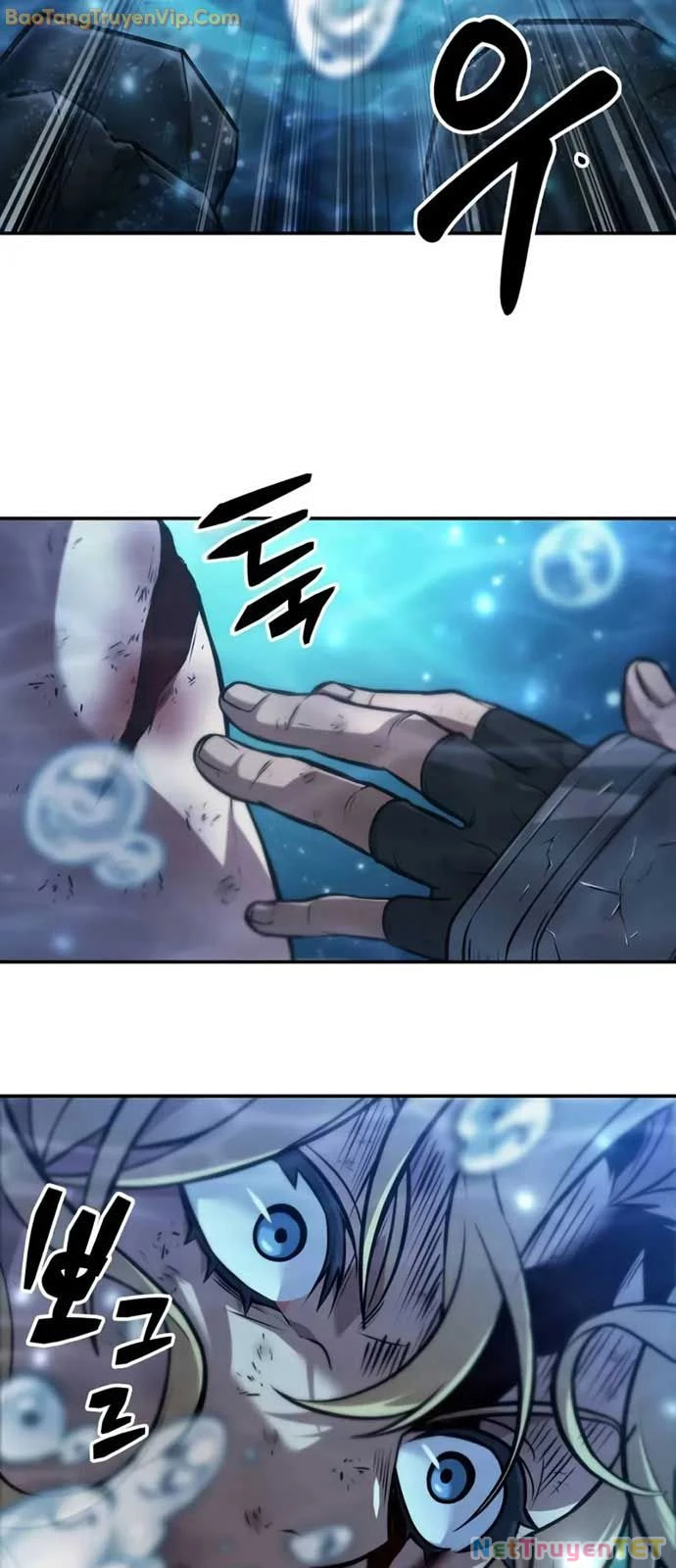 Mạo Hiểm Giả Cuối Cùng Chapter 50 - Trang 2