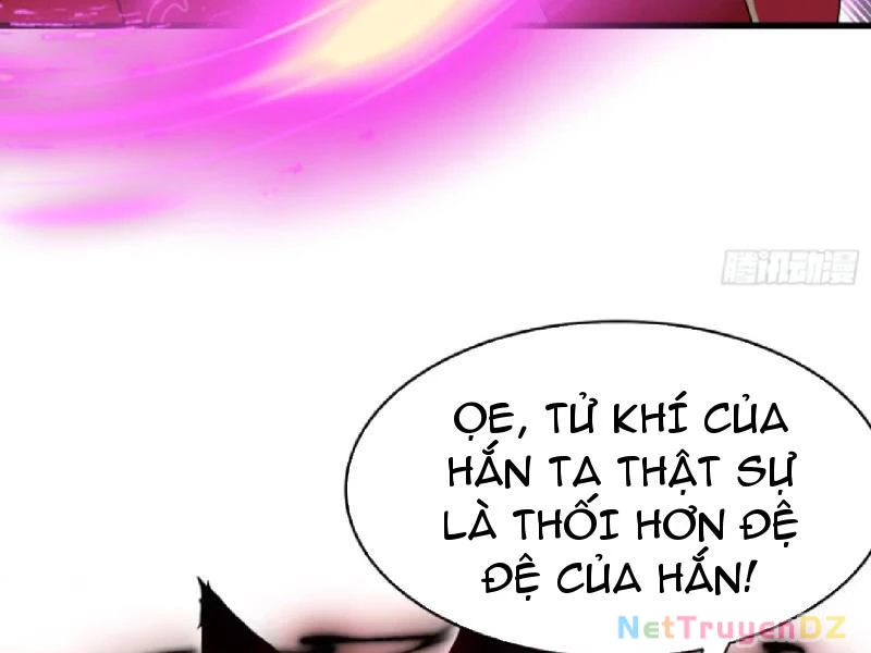 Hoá Ra Ta Đã Vô Địch Từ Lâu Chapter 219 - 44