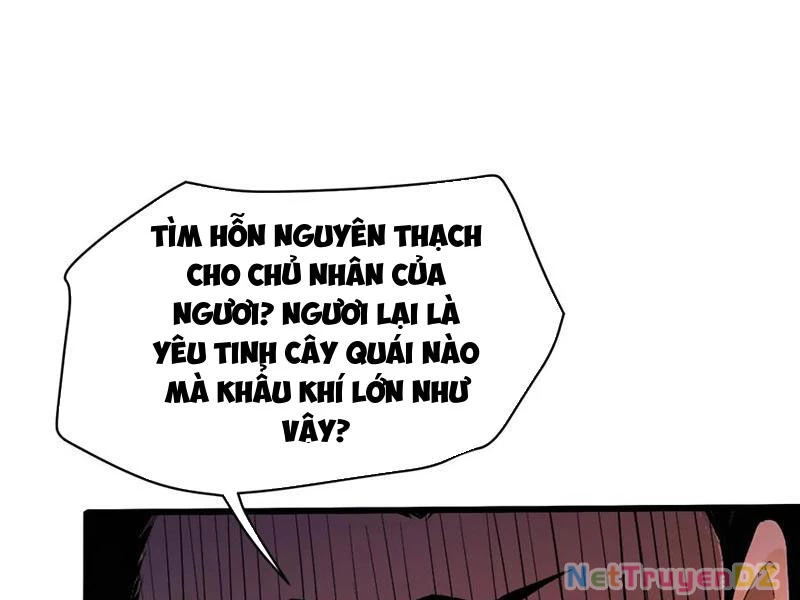 Hoá Ra Ta Đã Vô Địch Từ Lâu Chapter 221 - 97