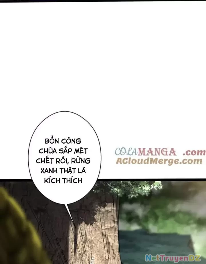 Ta, Chúa Tể Rừng Xanh Chapter 35 - 26