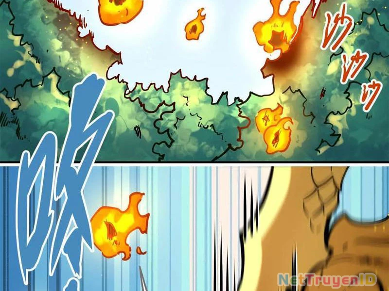 Tông Môn Của Ta Có Triệu Điểm Mạnh Chapter 24 - 3