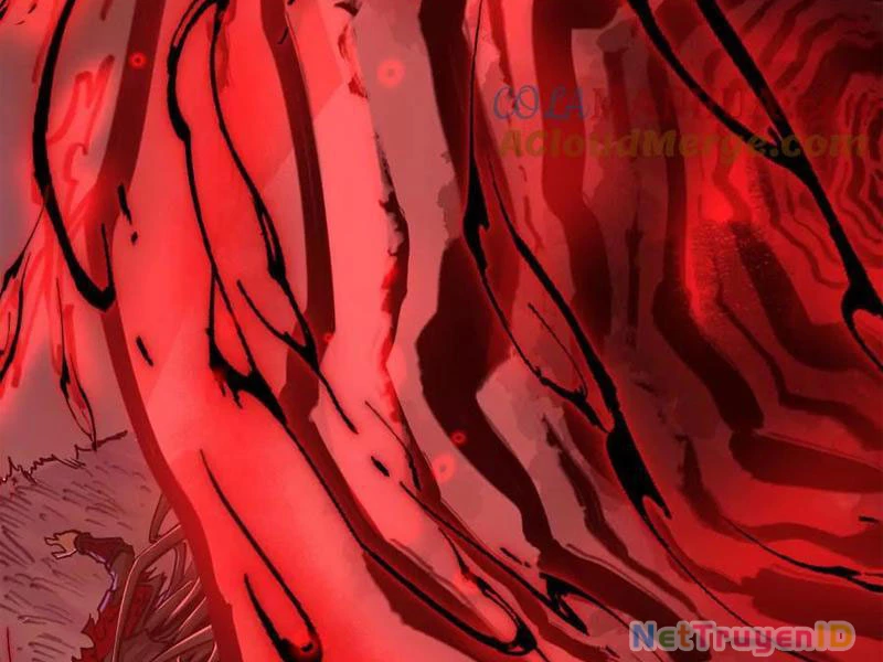 Tông Môn Của Ta Có Triệu Điểm Mạnh Chapter 24 - 70