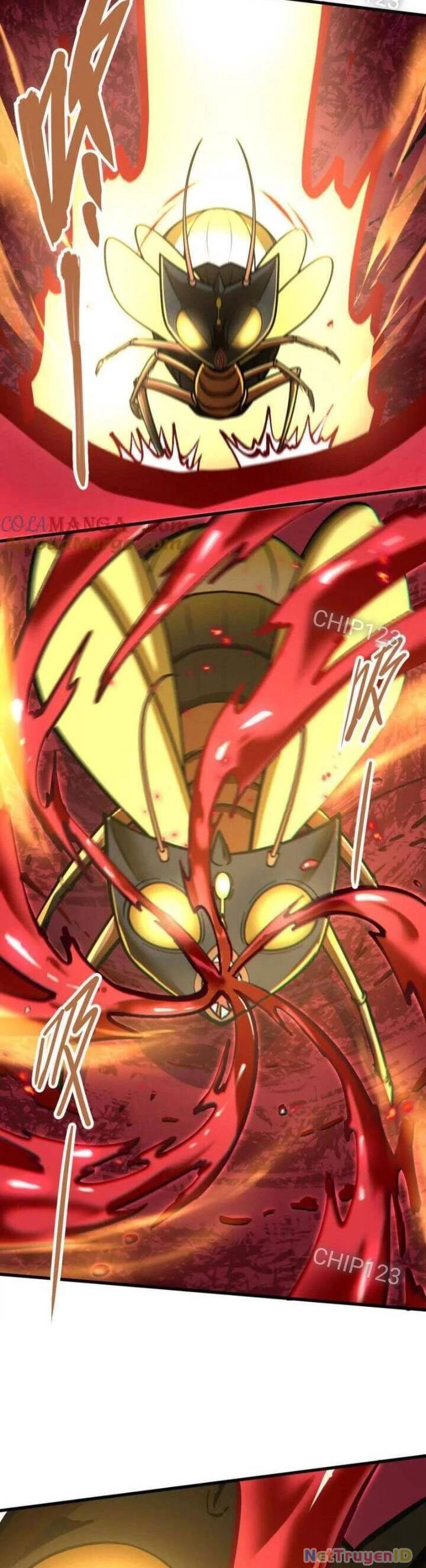 Tông Môn Của Ta Có Triệu Điểm Mạnh Chapter 52 - 4