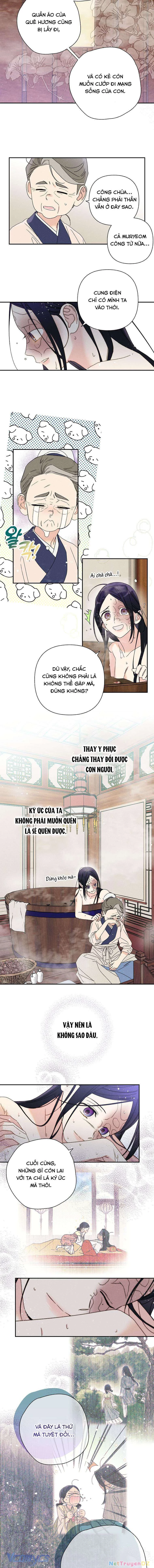 Quốc Hôn Chapter 22 - 7