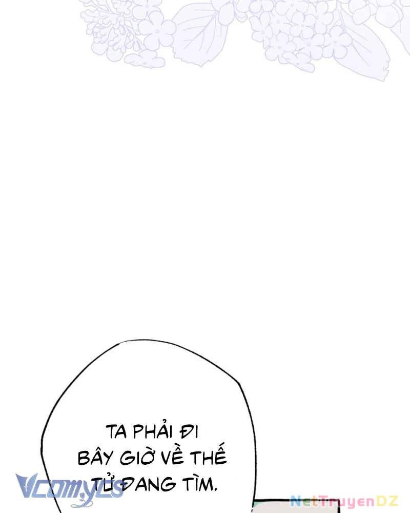 Chuyện Tình Tuyết Phương Bắc Chapter 22 - Trang 2