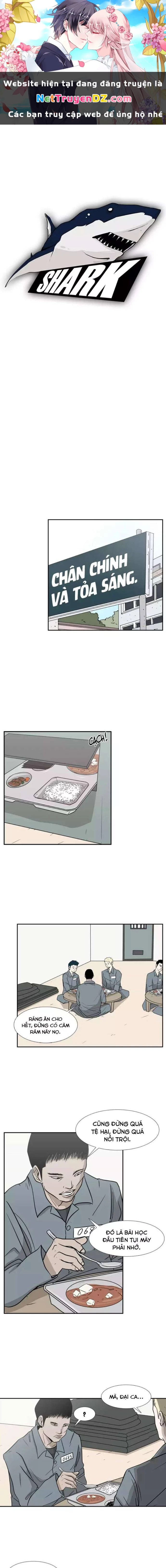 Shark - Cá Mập Chapter 5 - 1