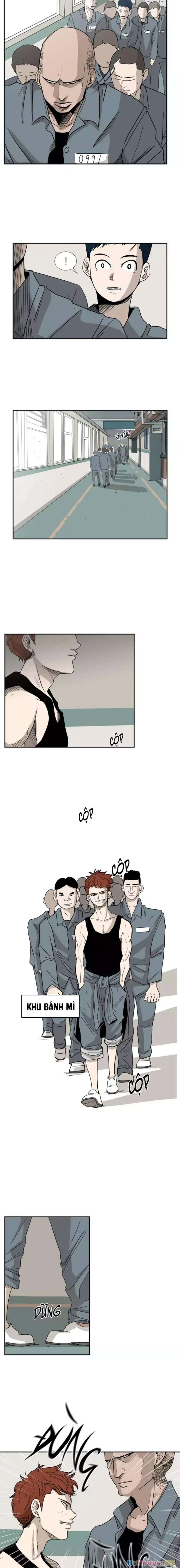 Shark - Cá Mập Chapter 5 - 8