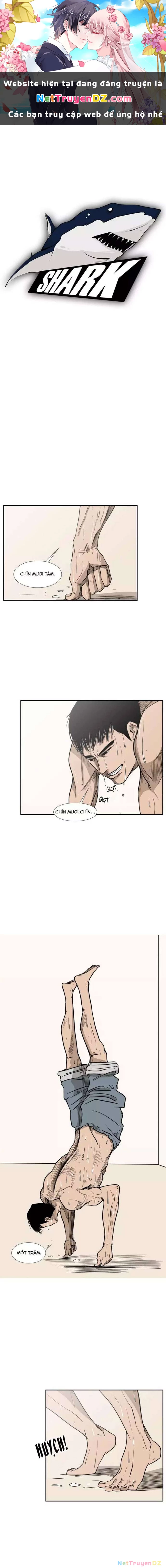 Shark - Cá Mập Chapter 6 - 1