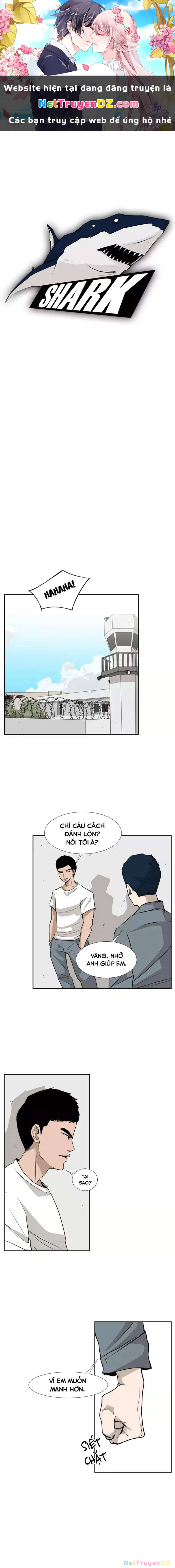 Shark - Cá Mập Chapter 10 - 1