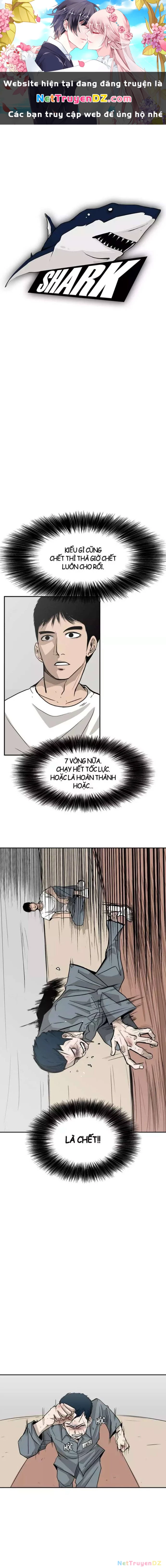 Shark - Cá Mập Chapter 11 - 1