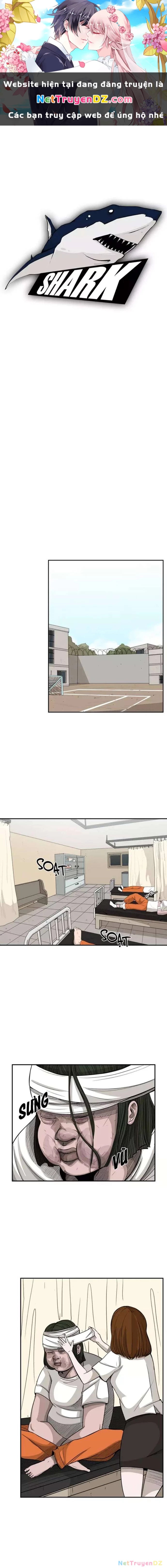 Shark - Cá Mập Chapter 14 - 1