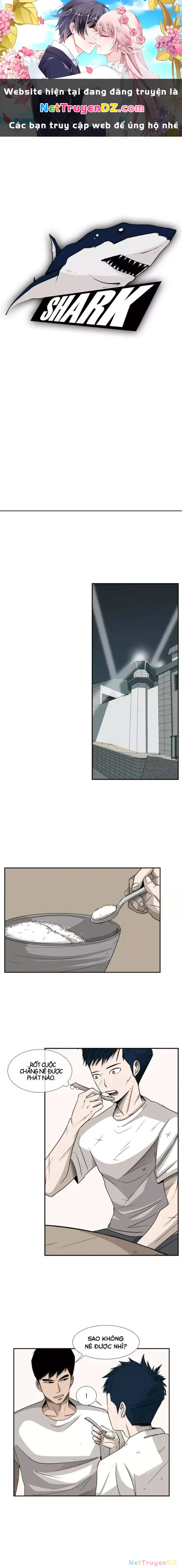 Shark - Cá Mập Chapter 17 - 1
