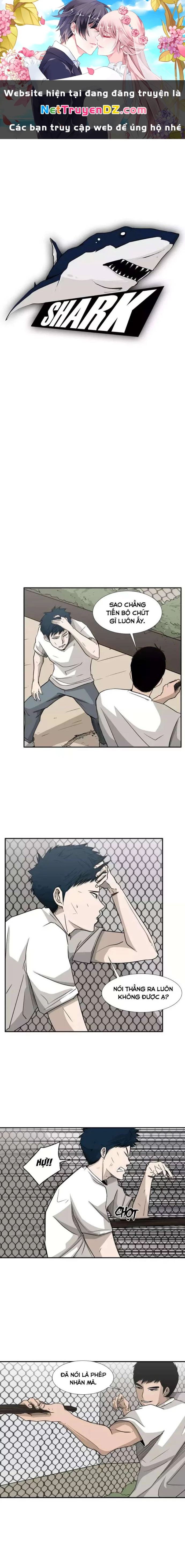 Shark - Cá Mập Chapter 18 - 1