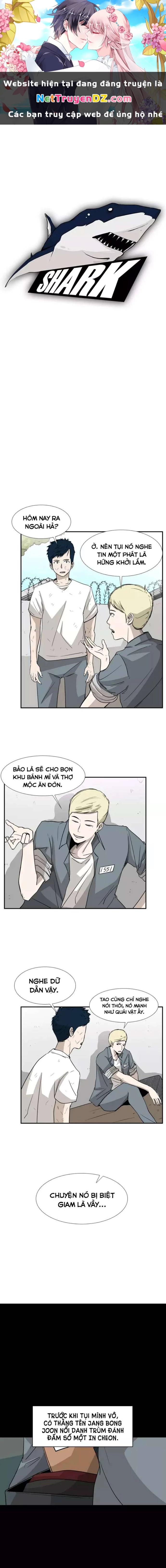 Shark - Cá Mập Chapter 19 - 1