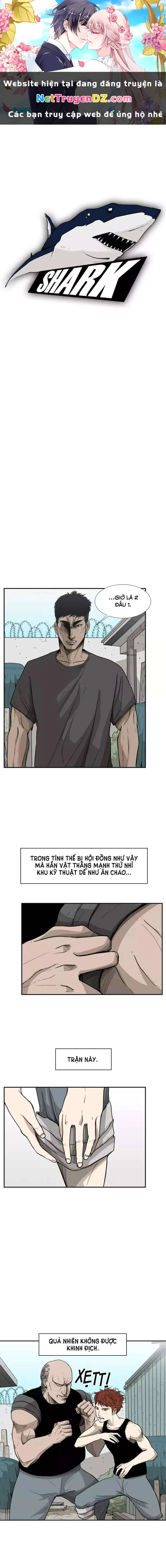 Shark - Cá Mập Chapter 22 - 1
