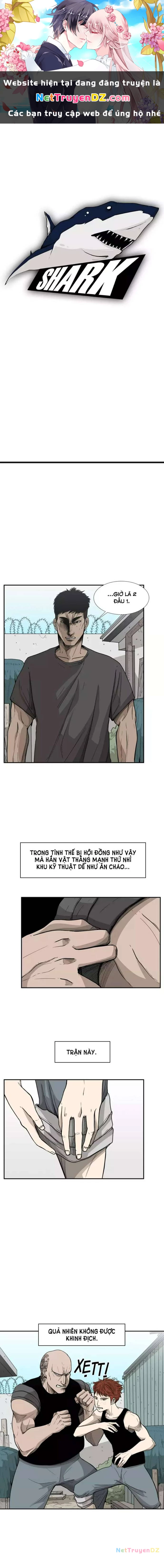 Shark - Cá Mập Chapter 23 - 1