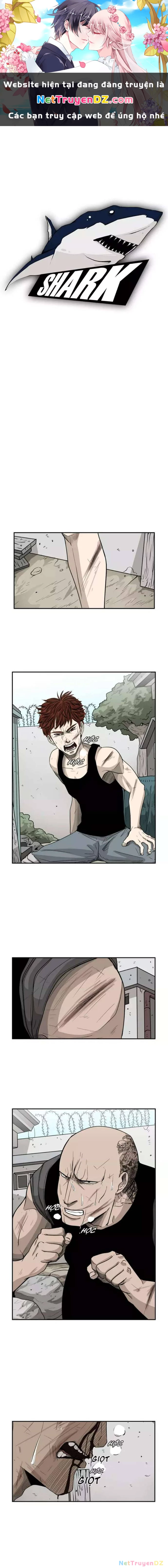 Shark - Cá Mập Chapter 24 - 1