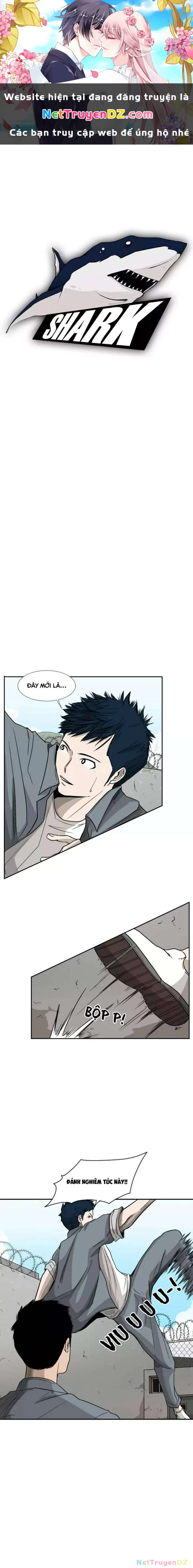 Shark - Cá Mập Chapter 29 - 1