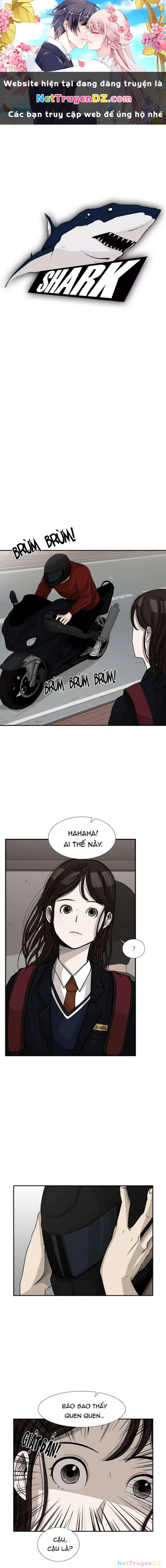 Shark - Cá Mập Chapter 32 - 1