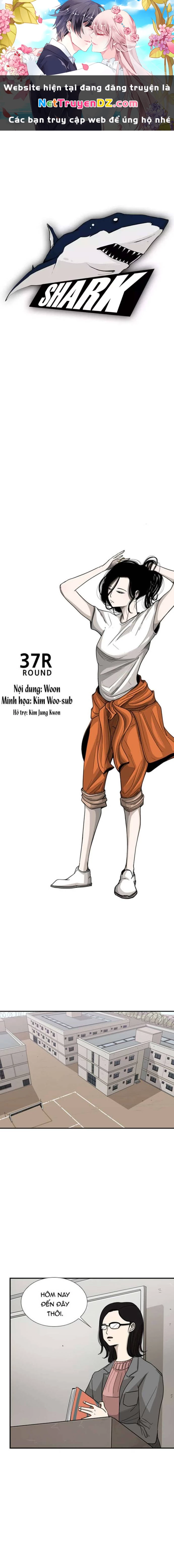 Shark - Cá Mập Chapter 37 - 1