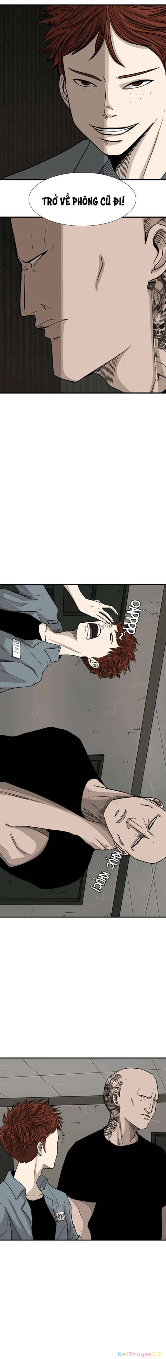 Shark - Cá Mập Chapter 38 - 14