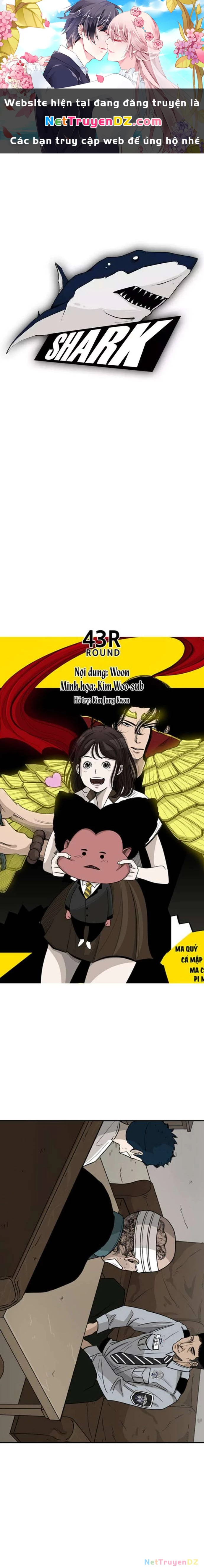 Shark - Cá Mập Chapter 43 - 1