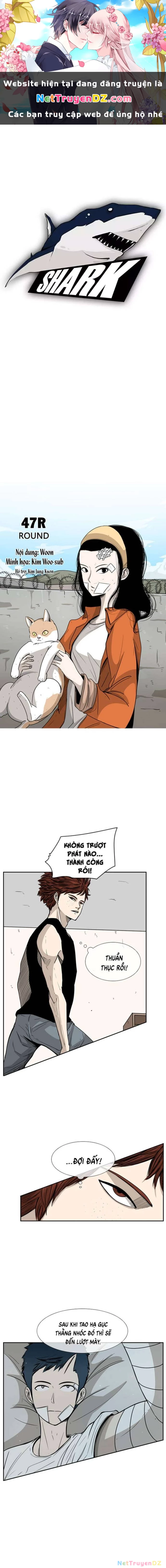 Shark - Cá Mập Chapter 47 - 1