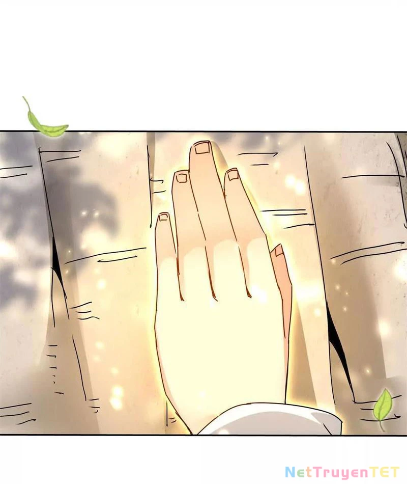 Sau Khi Sống Lại Ở Mạt Thế, Ta Điên Cuồng Thăng Cấp Chapter 17 - Trang 2