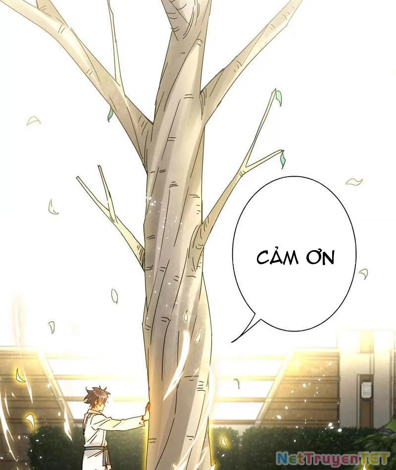 Sau Khi Sống Lại Ở Mạt Thế, Ta Điên Cuồng Thăng Cấp Chapter 17 - Trang 2