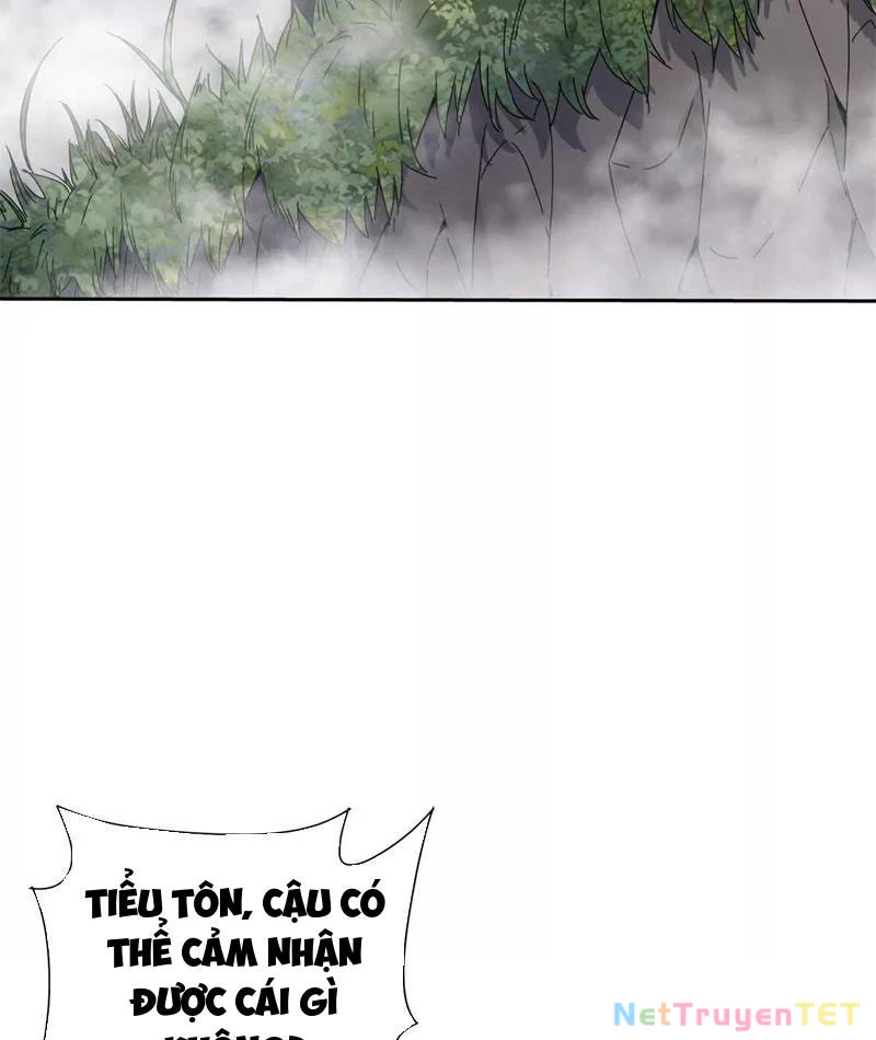 Sau Khi Sống Lại Ở Mạt Thế, Ta Điên Cuồng Thăng Cấp Chapter 20 - Trang 2
