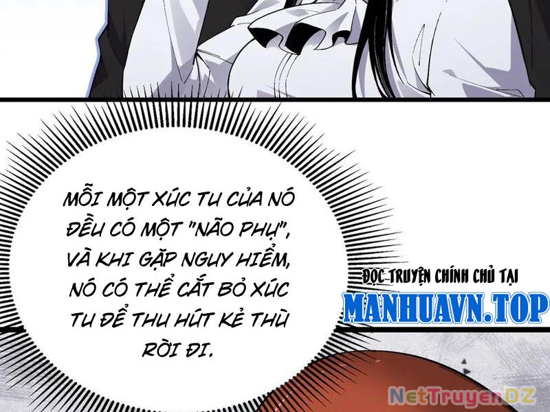 linh khí khôi phục: từ cá chép tiến hoá thành thần long Chapter 37 - Next 