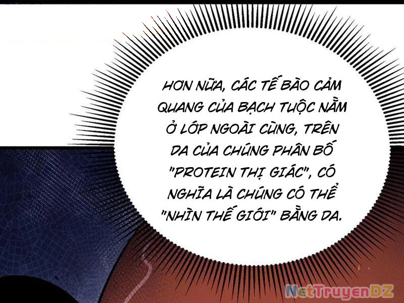 linh khí khôi phục: từ cá chép tiến hoá thành thần long Chapter 37 - Next 