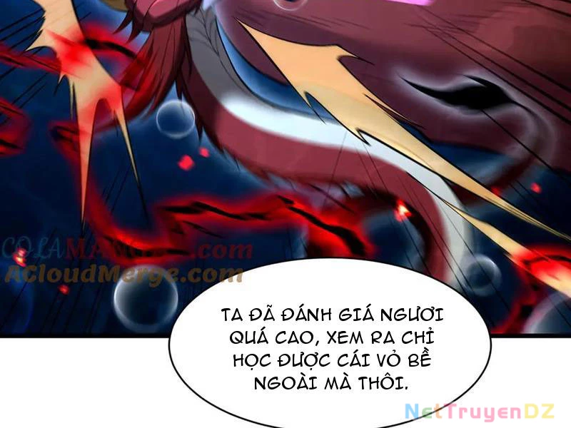 linh khí khôi phục: từ cá chép tiến hoá thành thần long Chapter 37 - Next 