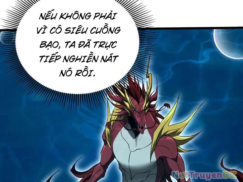 linh khí khôi phục: từ cá chép tiến hoá thành thần long Chapter 37 - Next 