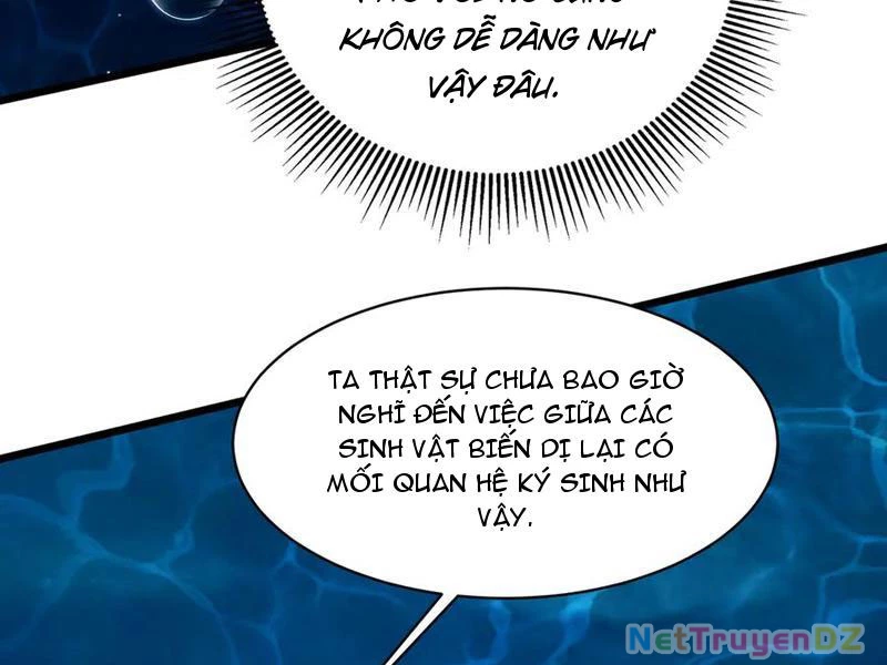 linh khí khôi phục: từ cá chép tiến hoá thành thần long Chapter 37 - Next 