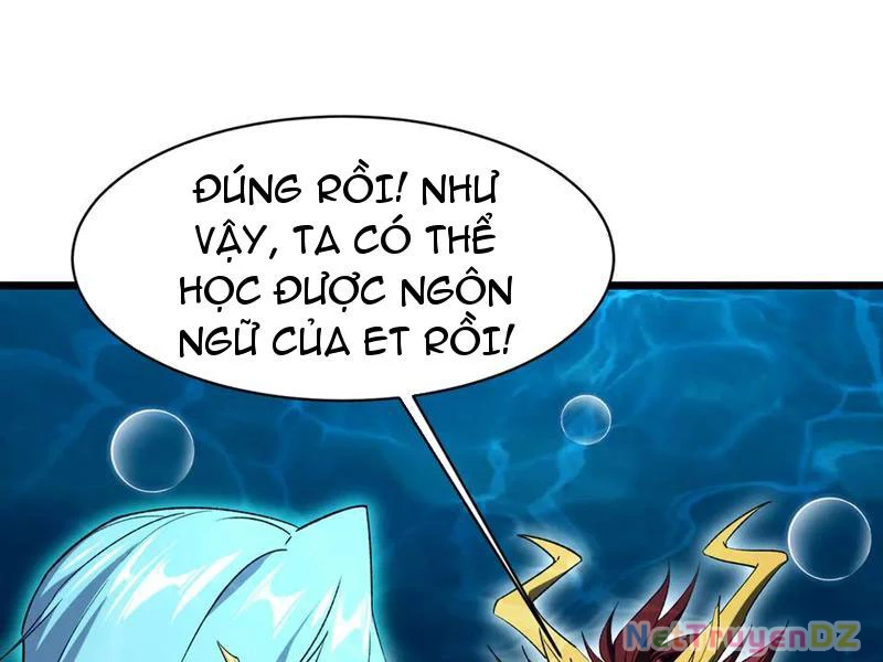 linh khí khôi phục: từ cá chép tiến hoá thành thần long Chapter 37 - Next 